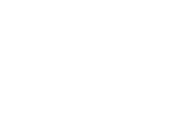 bitPay - logo